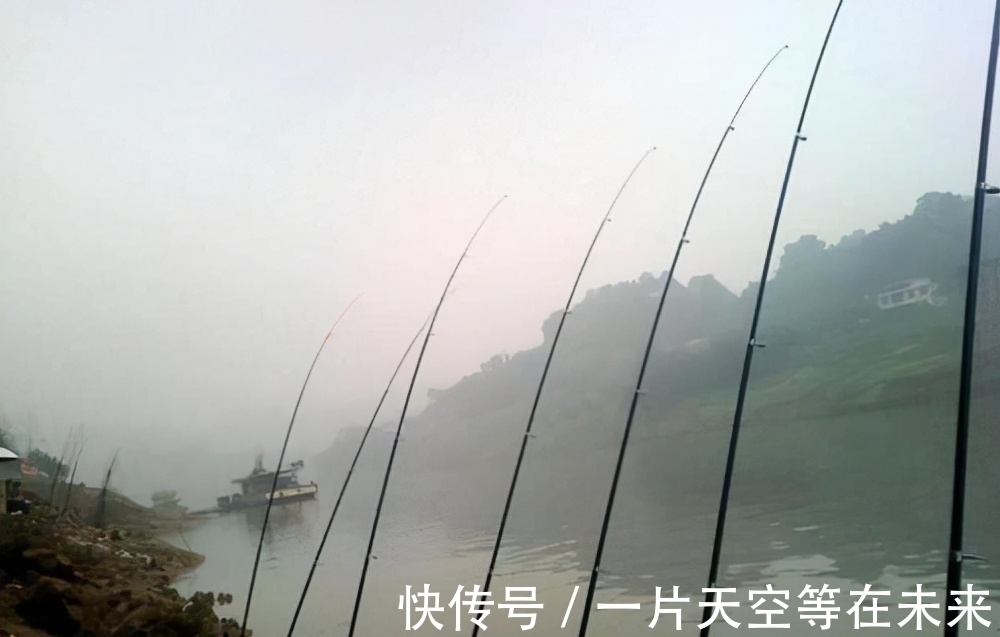 太空豆|鲢鳙线组这么装,钓深、钓浅都可以