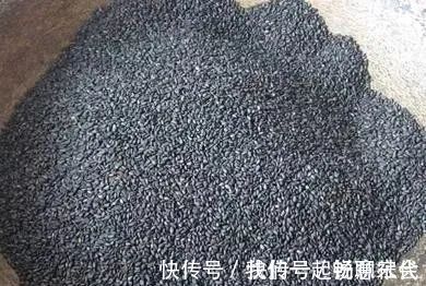 耳鸣|生活家:黑芝麻最大的功效不是乌发,而是这个?