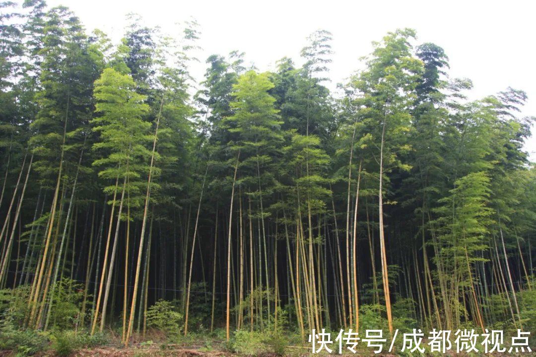 地址|在秋天里，与北川共舞