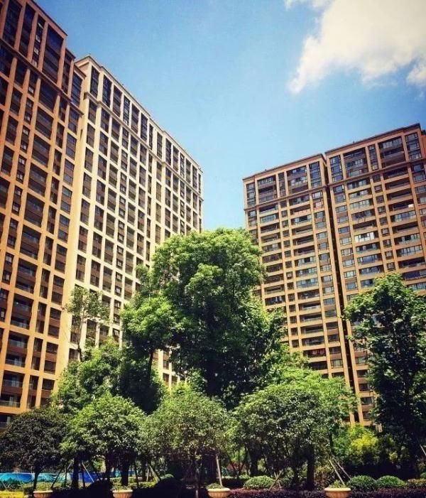 提取|成都公积金新政出台！大家最关心的10个热点问题答案来了！