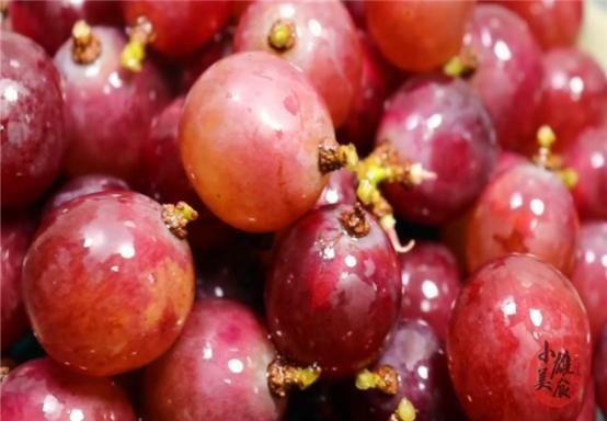 洗葡萄只用盐和淀粉，等于吃农药，教你1个技巧，虫卵农药全跑光