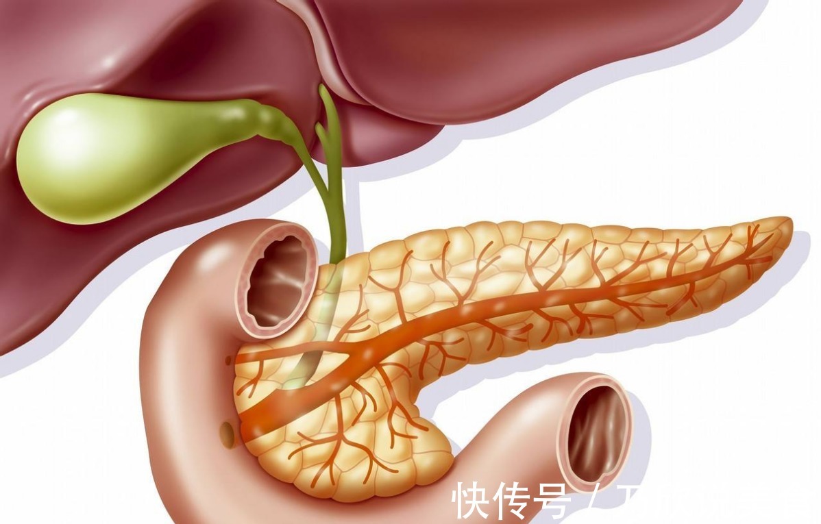 胰腺|50岁肿瘤专家患癌,抗癌一年去世,临终前留下一个反思,引人深思