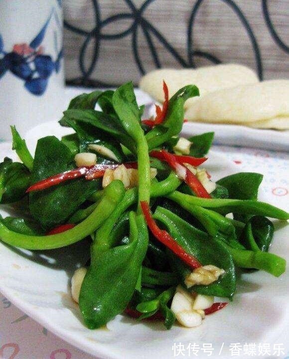 养1种吊兰,掐根枝条“沾土就活”,开花漂亮,还能当菜吃