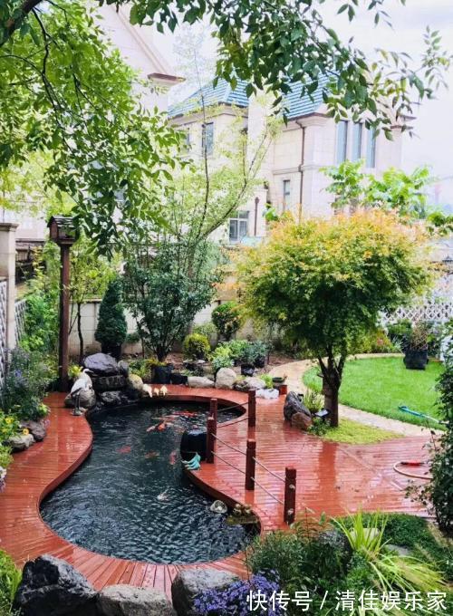 池塘|如果家里有个院子,就建个这样的鱼池吧,越住越富贵,真是太美了