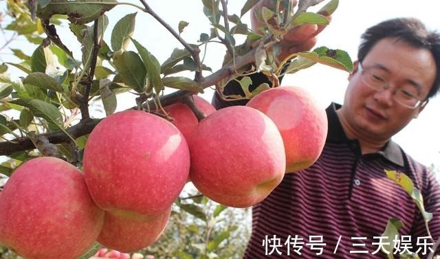 蓝莓|糖尿病患者记得吃五种水果,有效帮助降血糖