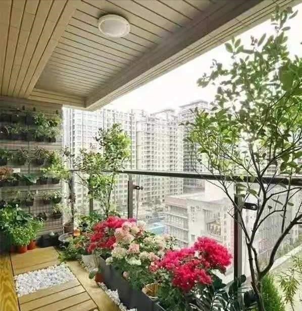 鱼池|养花高手不买一楼房子,庭院生活,一个阳台就能实现,羡慕