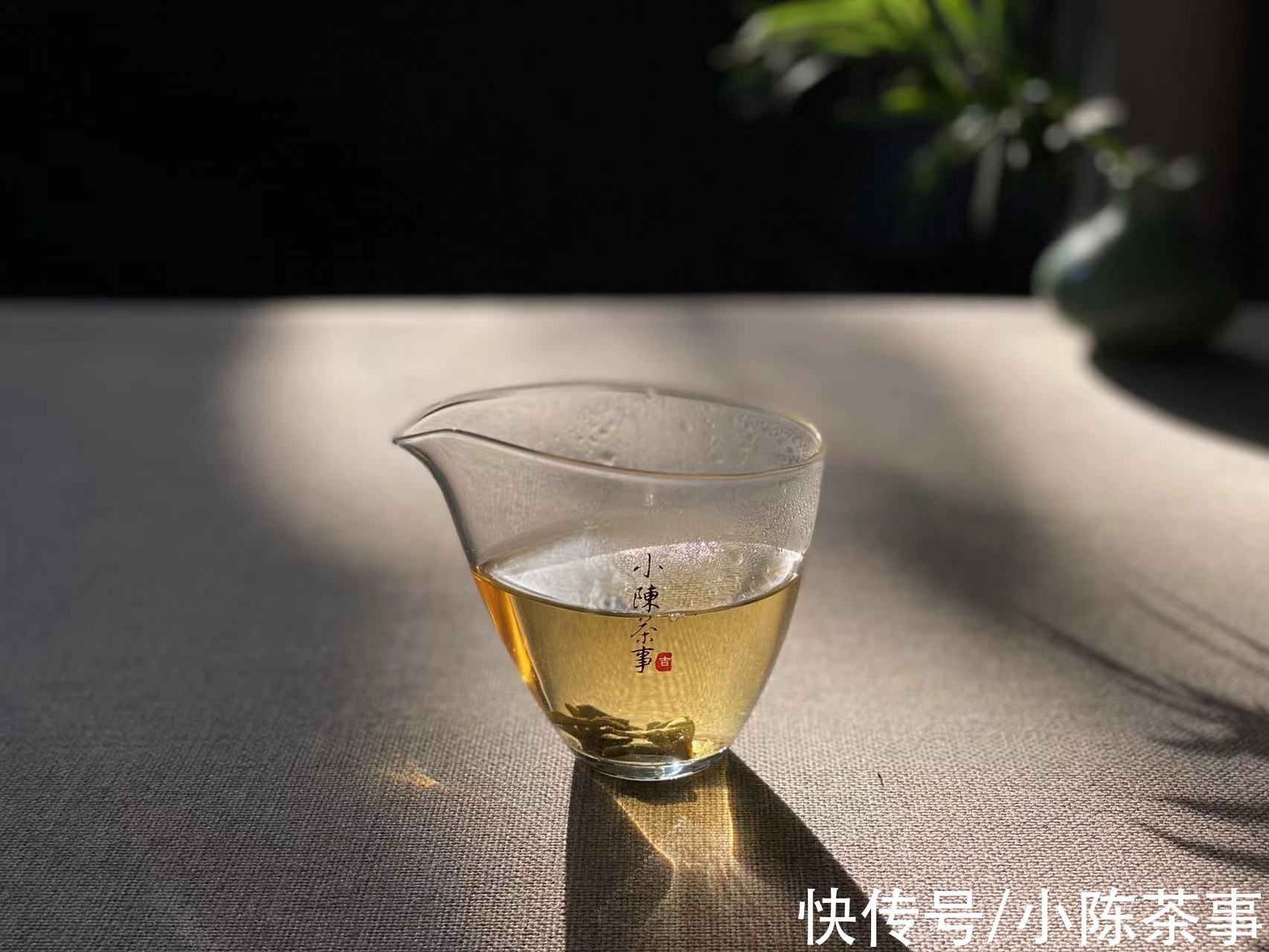 绿茶&存老的白毫银针、白牡丹，还能喝吗？老白茶里只有寿眉吗？