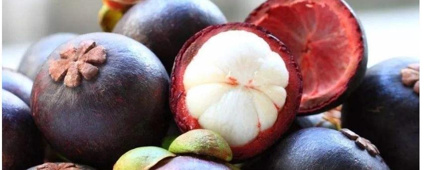 火龙果|怀孕期间,这些水果是败火必备,能去火还能预防宝宝黄疸