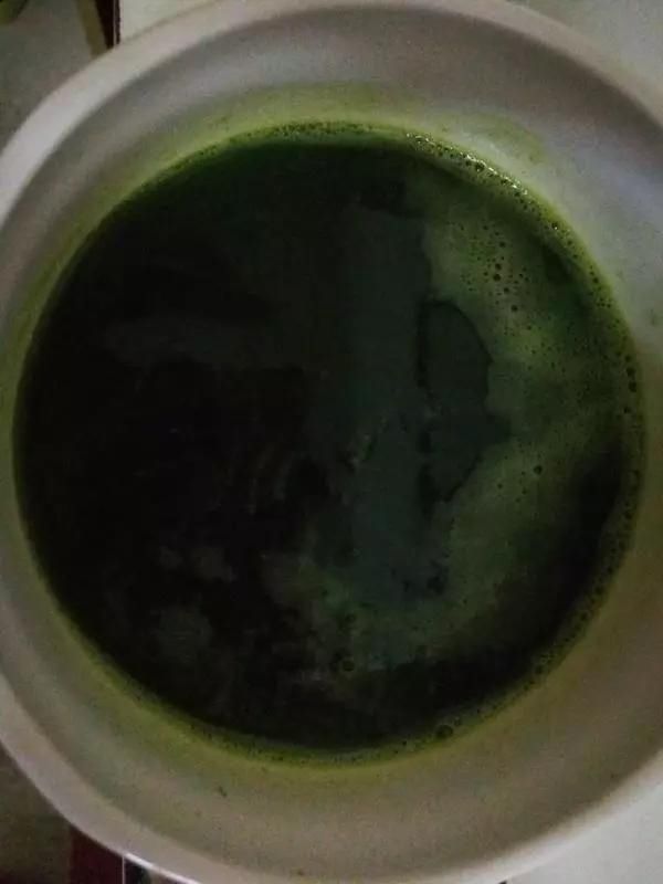 包子|用它包饺子,比韭菜好吃,比包子好看,鲜嫩味美香气十足