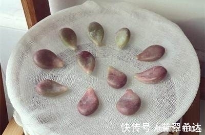 成功率|用这个方法繁殖多肉植物，发芽快，成功率高！想不爆盆都难！