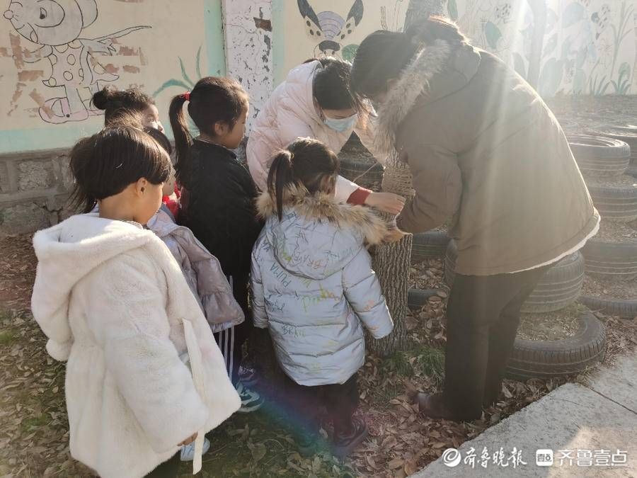 冬衣|利津县盐窝镇中心幼儿园开展“我给小树穿冬衣” 实践活动