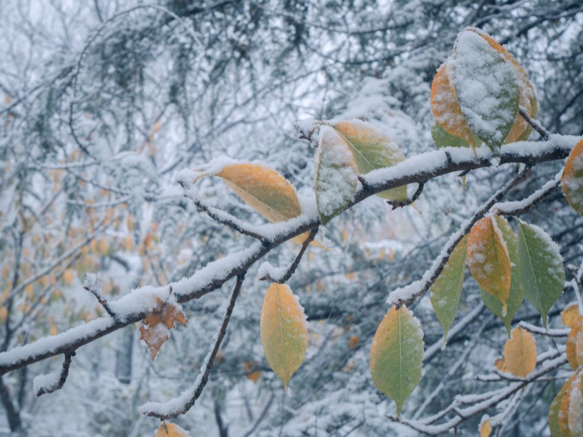 冬雪|山传初雪，许你一场深情共白头