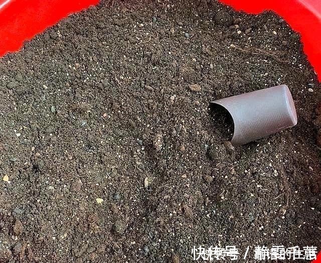 草炭土|养花就要配土,小花匠教你两种配土方法,养花特别棒,保准不烂根!