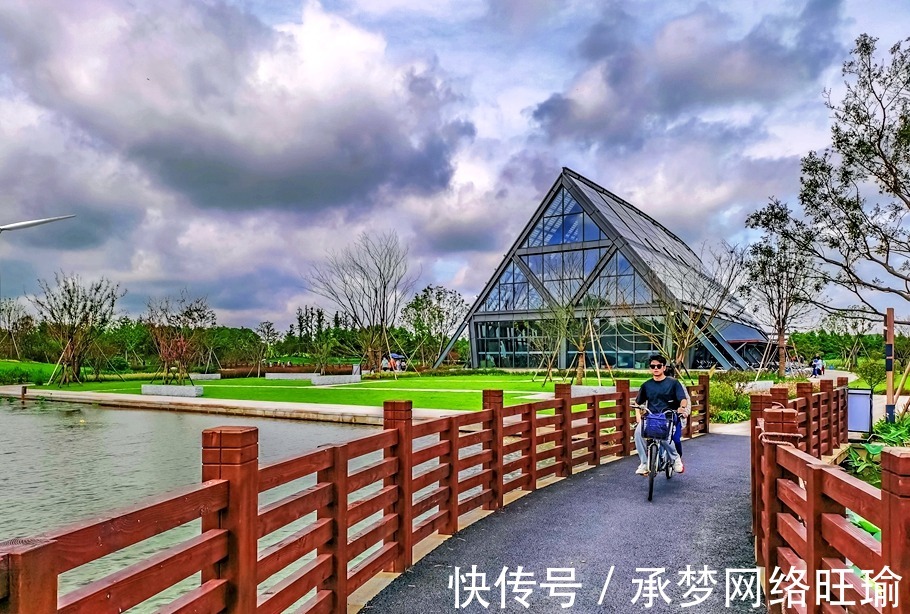 观海楼|夏游东滩湿地公园,原生态的自然状态,有一种亲近大自然的享受