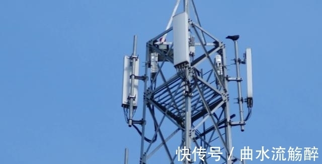 研发|印度研发5G速度比华为快20倍?骚操作看懵众人,吸引美企投资百亿