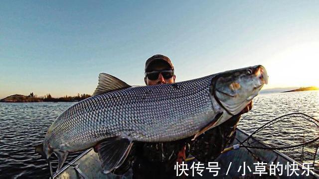 亚硝酸盐|5种鱼或含甲醛和重金属，建议少吃为好，不妨看看有你爱吃的吗？