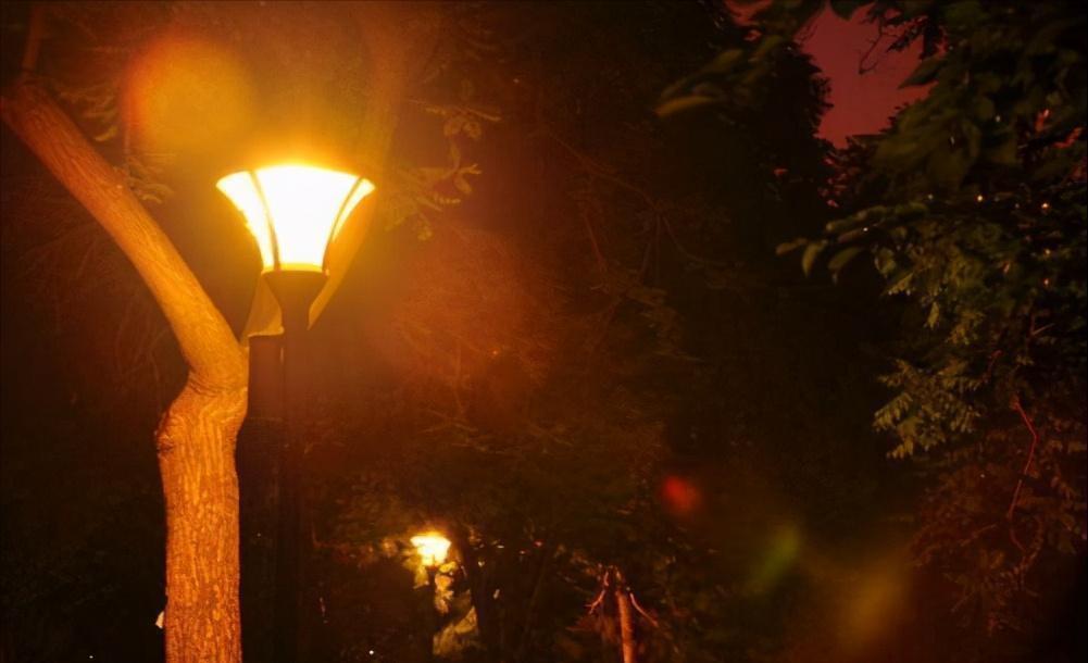 小区|好房子的标准是什么?业主直言:提前想好这四点