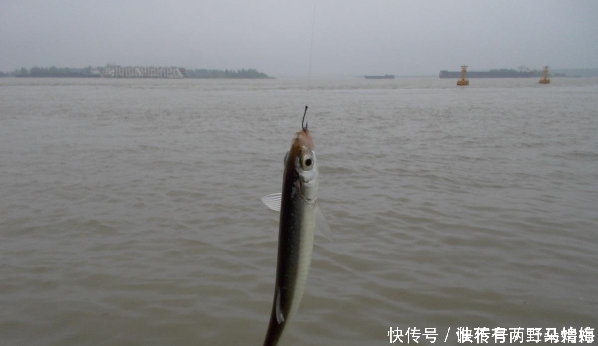 为什么别人钓鱼子线很少缠绕，而你却经常发生？这6个方面是关键