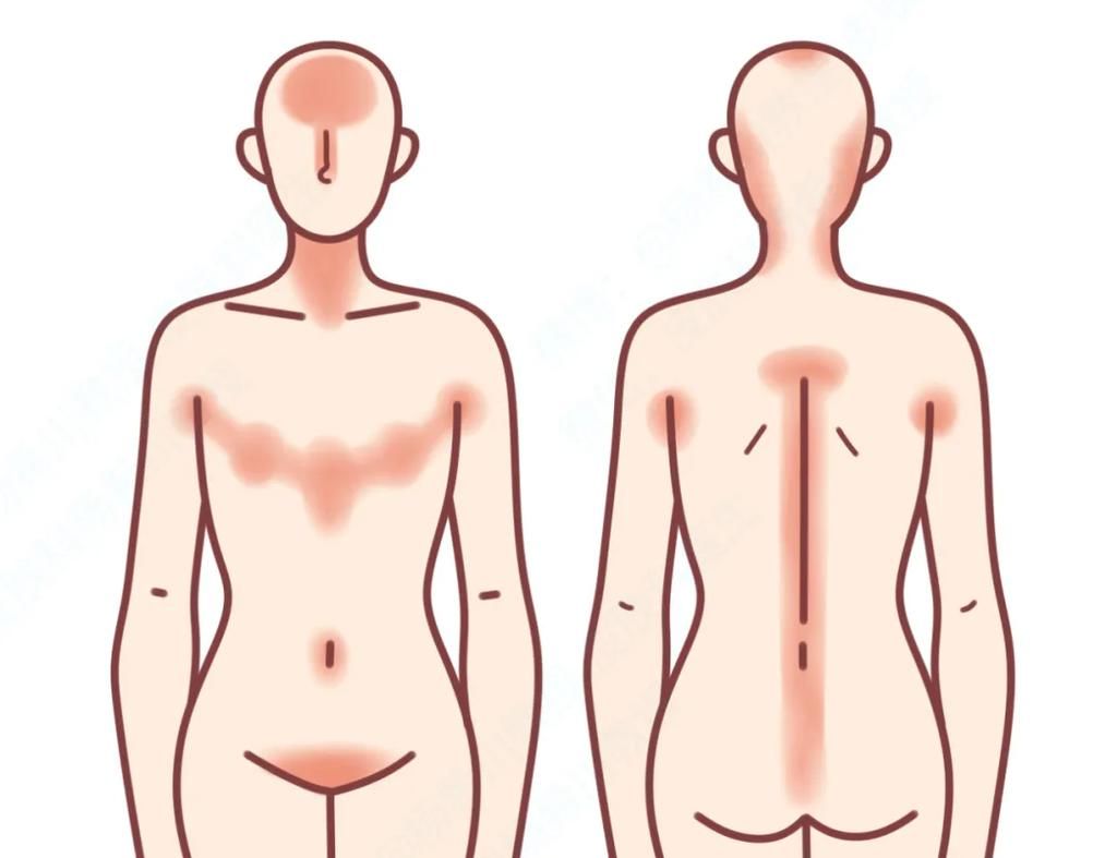 从未护理过的手和身体,比重金呵护的脸还白嫩?科学拯救你的脸!