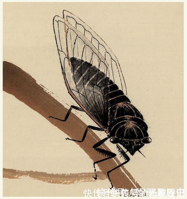 山水十二条屏#齐白石画了一只“蝉”,被张大千嘲笑“画错”,如今卖出8亿元