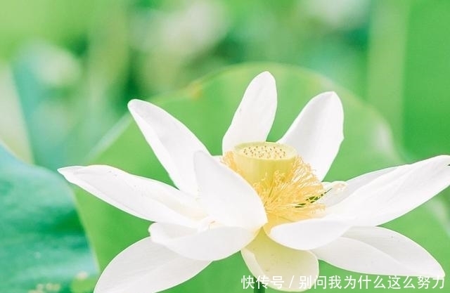 林清玄|林清玄:致富之道无他,惜缘、布施而已