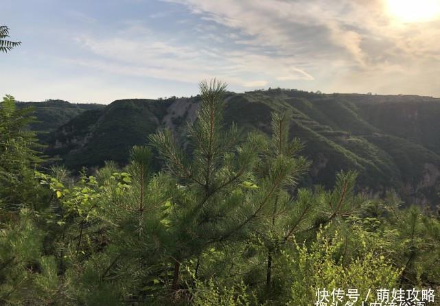 时柱|老话说：“年好不如月好，月好不如时好”，原来时辰才是最关键的