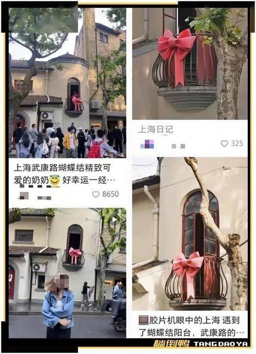 垃圾桶|刷屏的“阳台奶奶”搬走了,网红蝴蝶结也被扔进了垃圾桶……
