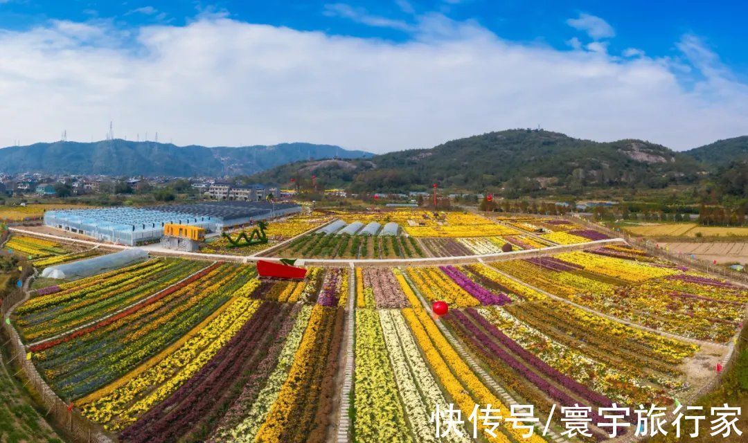 力洋|初冬，带你去逛宁海这座高颜值、有内涵的文化古镇