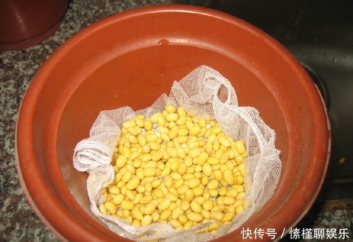 生菜|现在开始,花盆里养上“3种菜”,整个冬天“吃火锅”随便摘