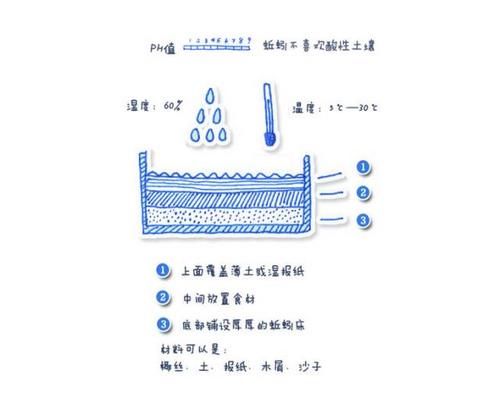  油绿|旧报纸丢盆里，叶片油绿不长虫，花儿开满盆！