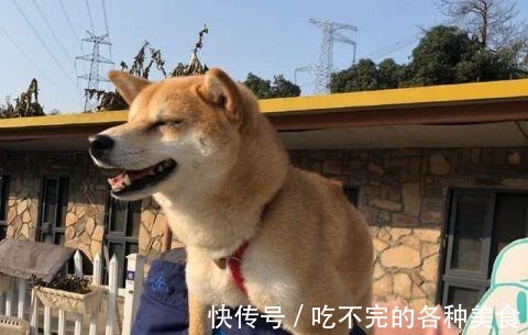 曝光|《向往的生活3》开录，新蘑菇屋曝光！