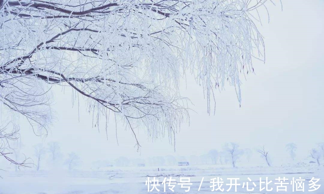 春雪&冬柳诗三首,零落衰条含蕴春意,白雪却嫌春色晚,故穿庭树作飞花