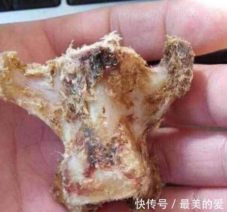 食堂！女大学生食堂捡别人吃剩的骨头，舍友以为她疯了，几天后高价卖出