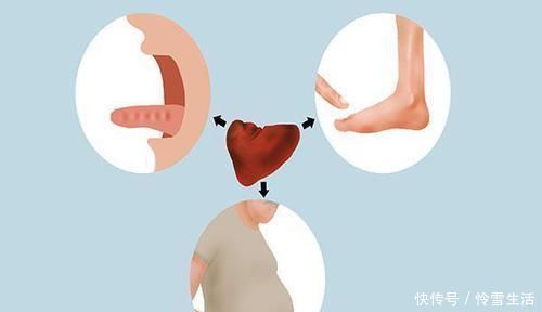 脾虚|脾一虚,人废一半脾虚湿气重教你调理方法,轻松补脾赶跑湿气