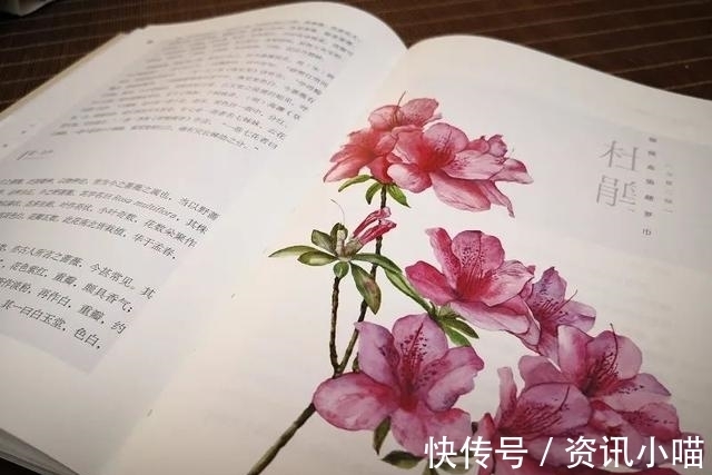 文化|历史、文化、传记……推荐几套内容丰富又精彩的人文社科好书