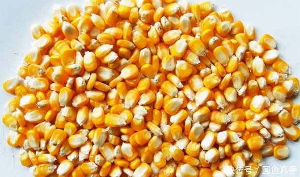 探索老人长寿秘密,多吃“五谷之最”,清理血管排毒防癌抗衰老