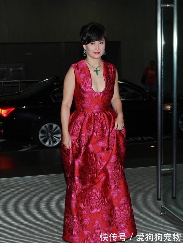 优雅 何超琼身材微胖,“贵妇范”穿搭气场十足,阿姨辈的女人值得借鉴!