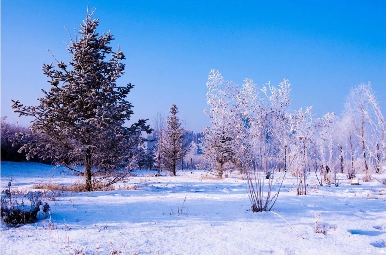 一场雪后惊艳了大抚顺