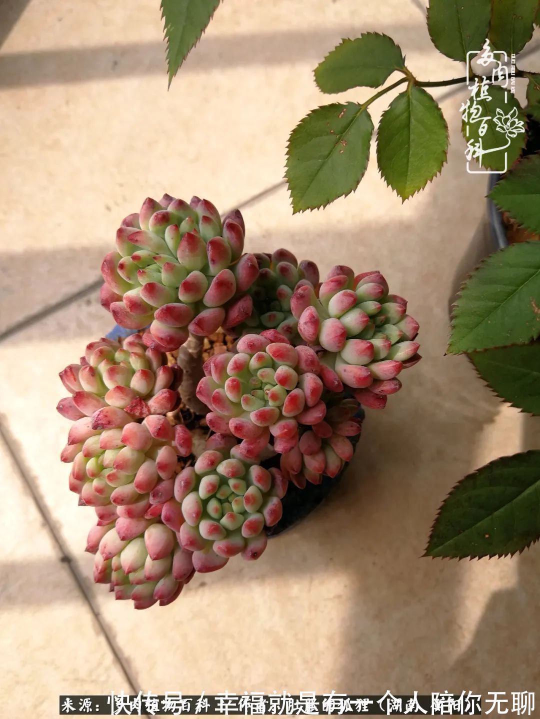 爱这一片缤纷的色彩，因为我们都是好色之徒！