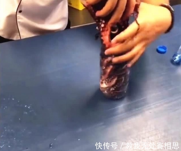  重达|小伙把重达3斤的章鱼塞进瓶子，煮了1小时，用刀一切，太意外！