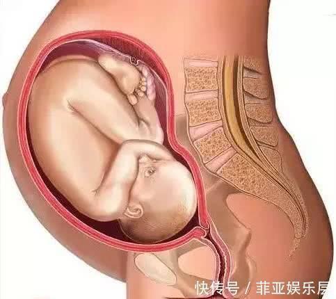 孕妇|孕晚期，孕妇有几种感受，说明胎儿已顺利入盆，附胎儿入盆图解