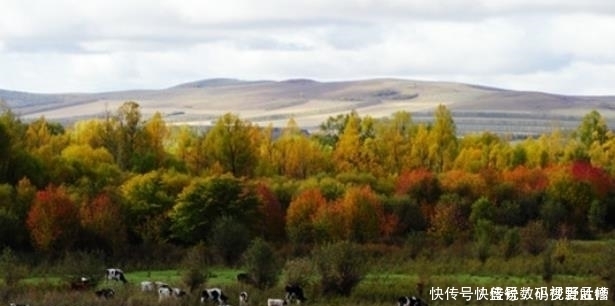 中俄交壤小镇，俄罗斯人与中国人结婚已成习惯，个个洋媳妇抱回家