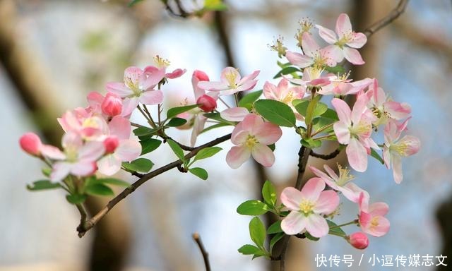  令人|美人向苏轼求诗，前两句令人失望，加上后两句顿时大放异彩