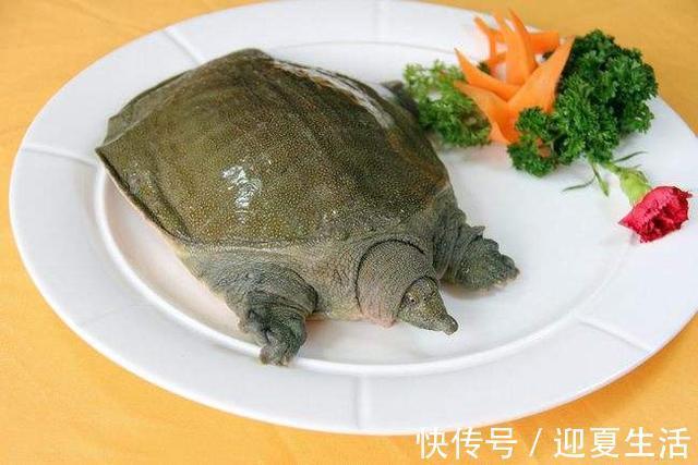 孩子|我国53万儿童性早熟,这些食物“坑娃不倦”,今仍有家长批量买