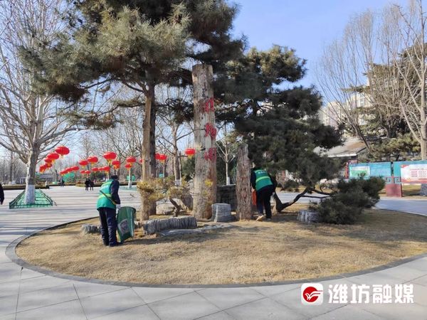 鸽子|网络中国节·春节｜赏风景、喂鸽子……植物园里真热闹