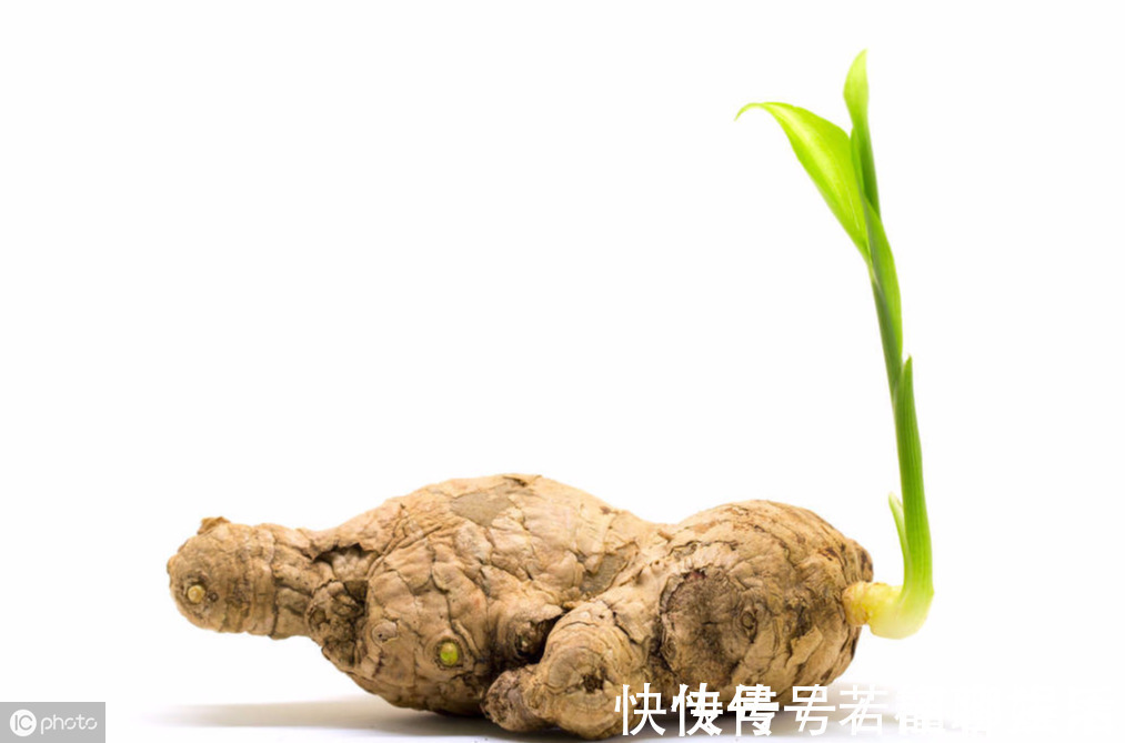 发芽|吃姜不去皮,吃错害自己!吃姜5大禁忌,多人不知,早知早好