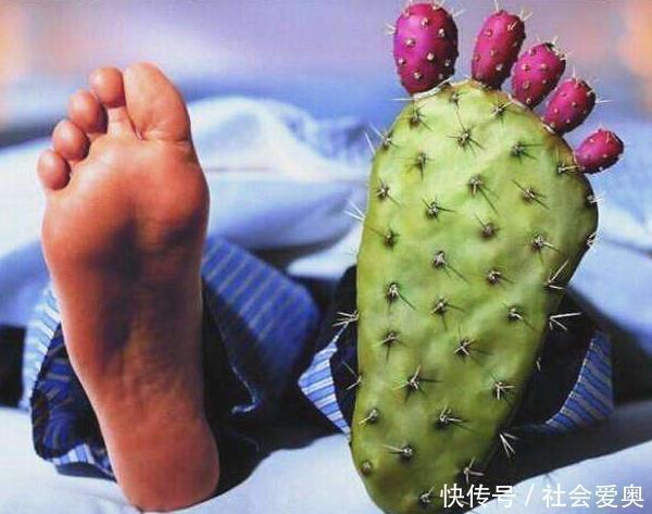 蒲公英|不想痛风来烦你,吃6种以上的碱性食物,尿酸会一天比一天低