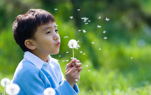 “惊蛰不下雨，暑后剥树皮”，惊蛰为何盼下雨？老农早有说法