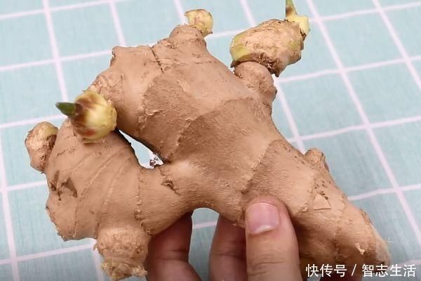 白送|买生姜时,2种生姜不要买,白送都不能要,快告诉家里人
