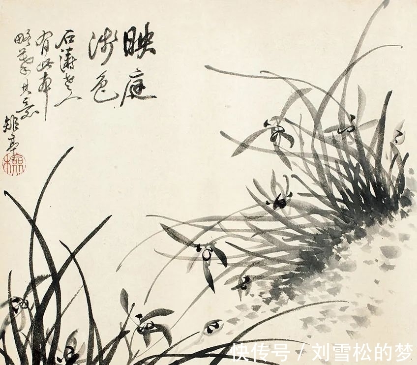 姿态|清代蒋予检笔下的兰花:纵横偃仰,别有姿态